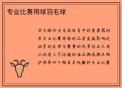 专业比赛用球羽毛球