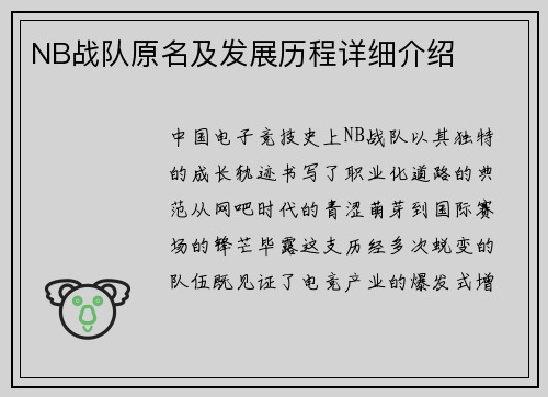 NB战队原名及发展历程详细介绍