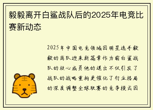 毅毅离开白鲨战队后的2025年电竞比赛新动态