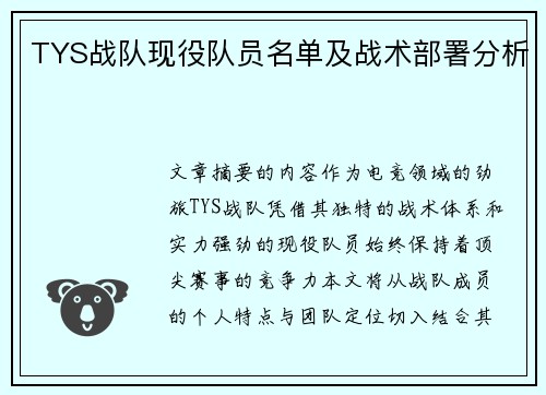 TYS战队现役队员名单及战术部署分析